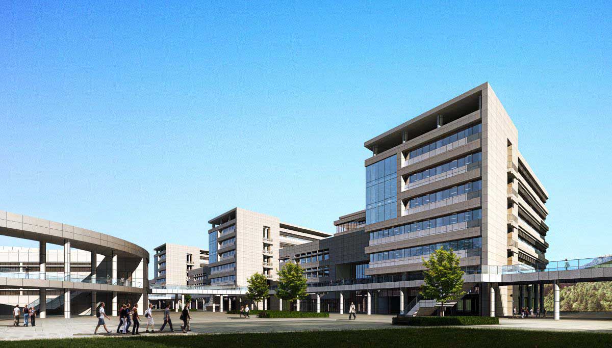 蘑菇影视网页版 - 轻量观影