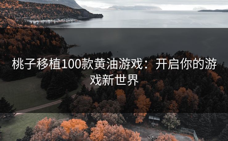 桃子移植100款黄油游戏：开启你的游戏新世界