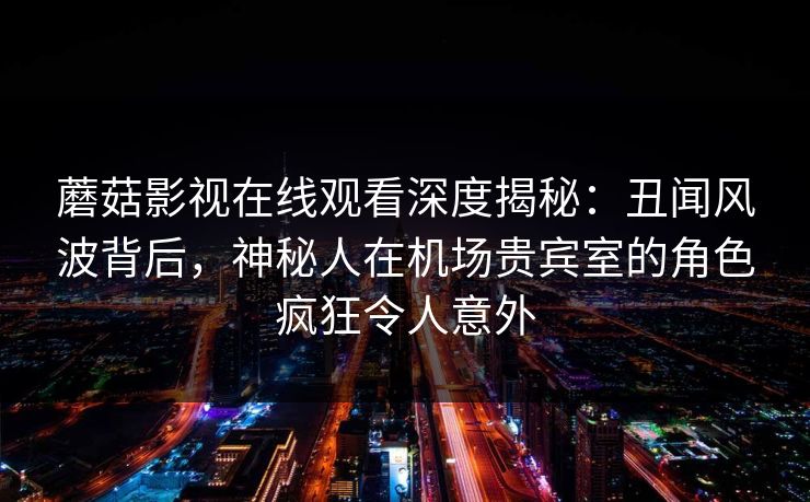 蘑菇影视在线观看深度揭秘:丑闻风波背后,神秘人在机场贵宾室的角色疯狂令人意外 蘑菇影视在线观看深度揭秘:丑闻风波背后,神秘人在机场贵宾室的角色疯狂令人意外